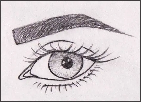 100+ Ideas. 📓👤Learn to draw  1.0.0