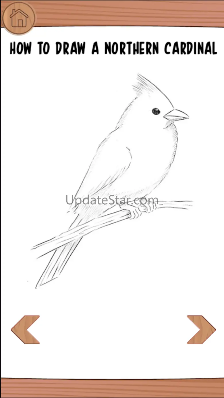 How To Draw-Learn Step By Step 2.0
