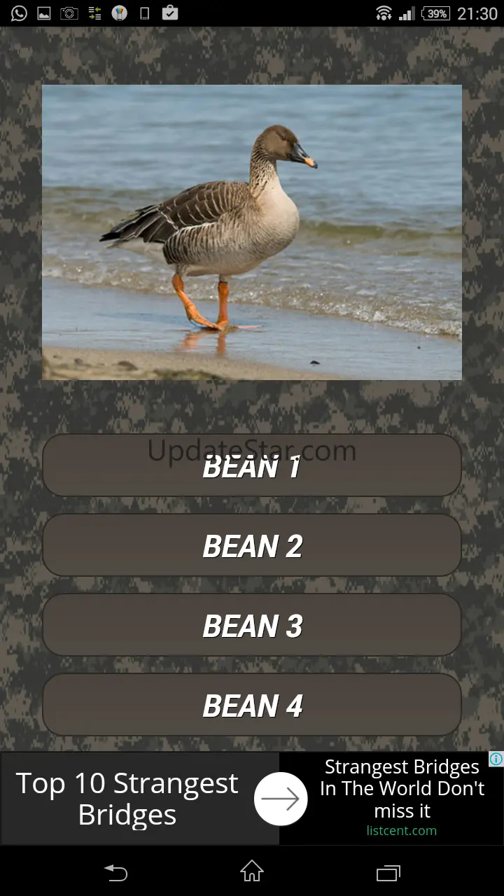 Goose Hunting Calls 2.2