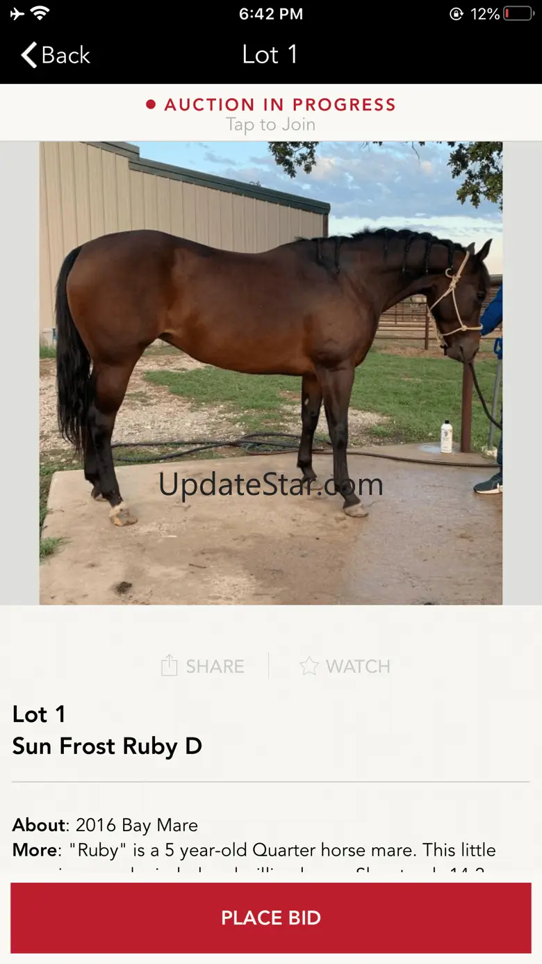 XIT Western Productions 1.0.4