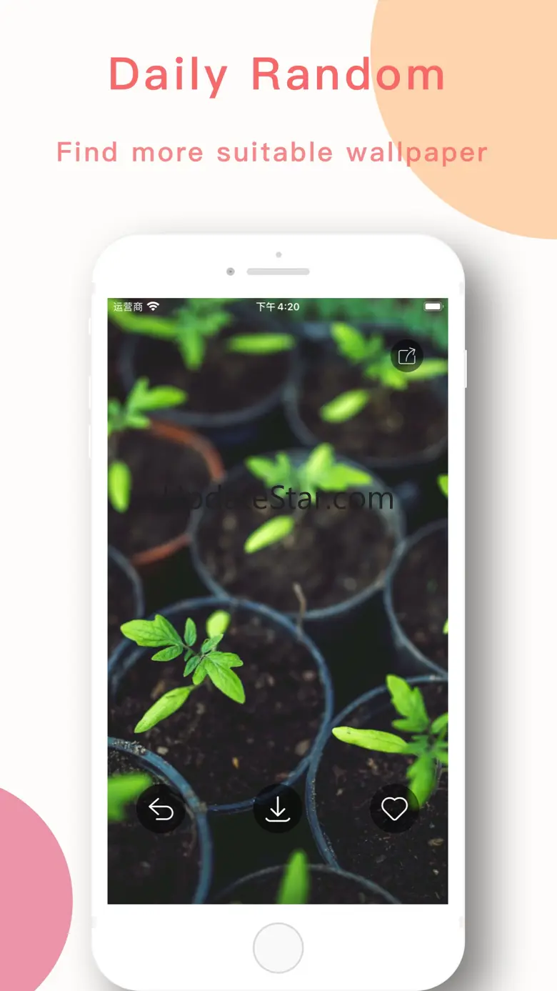 CozyWall - Cool Wallpapers 1.4