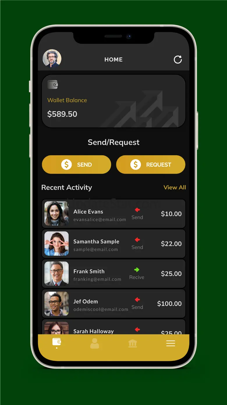 Zoompay 1.1