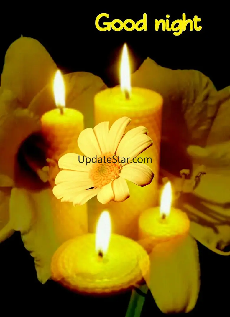 Good Night  Images Wishes 2024 17.5.2