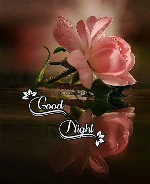 Good Night  Images Wishes 2024 17.5.2