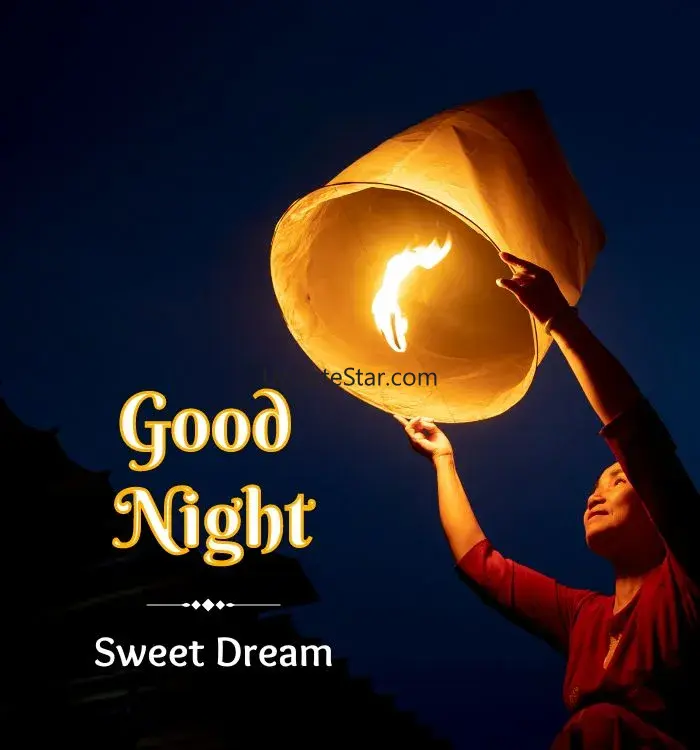 Good Night  Images Wishes 2024 17.5.2