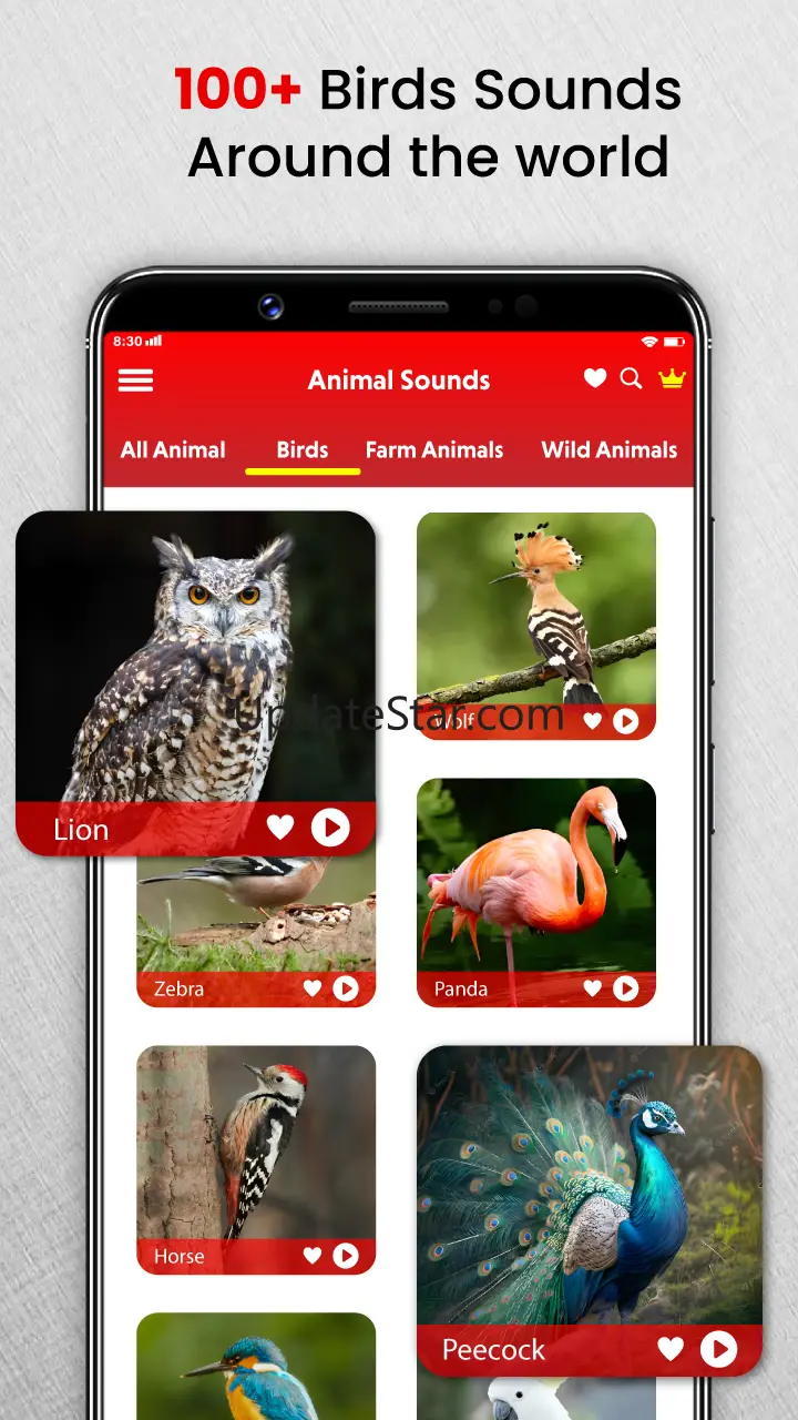 Animal Sounds Birds Ringtones 25.1