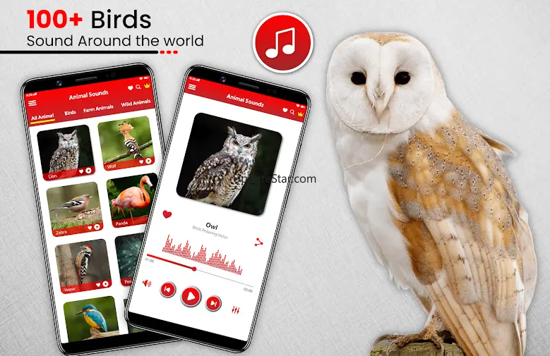Animal Sounds Birds Ringtones 25.1
