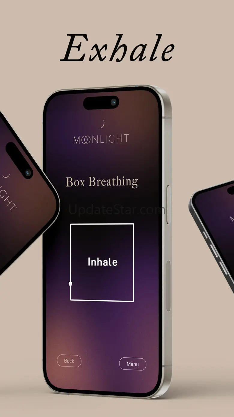 Moonlight Focus 0.1.7