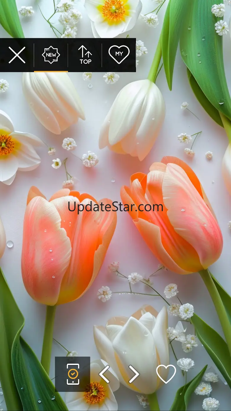 Wallpapers with flowers in 4K 11.04.2020-flowers