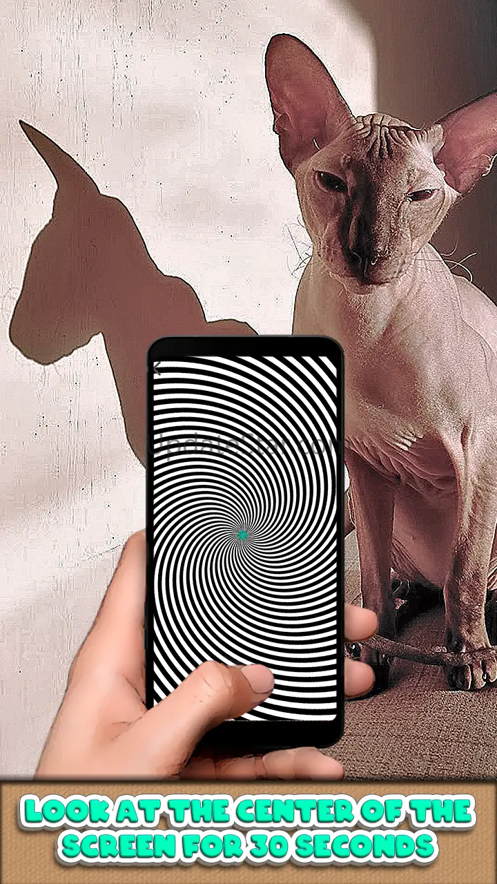 Optical Illusion Simulator 1.0.5