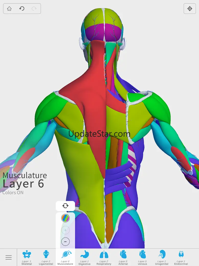 Visual Anatomy 3D - Human 2.5