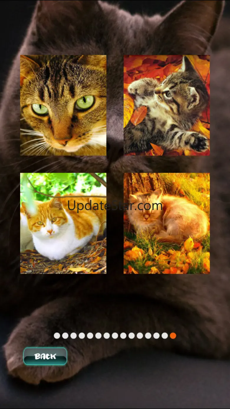 Cat Puzzles 6.3.0