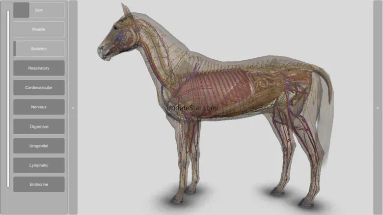 3D Horse Anatomy Software 2.03