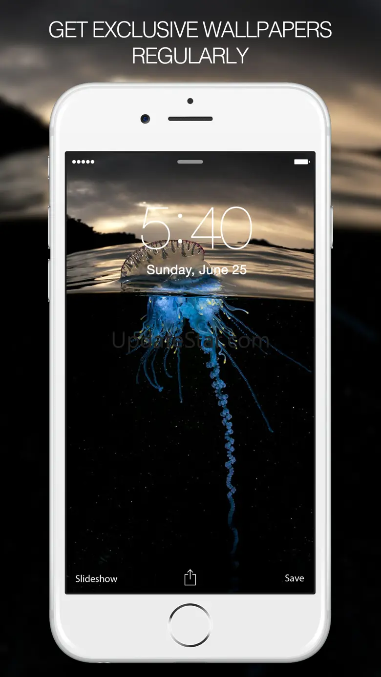 Rare Photos – Rare Pictures & Unique Wallpapers 9.4