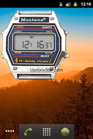 Montana clock
