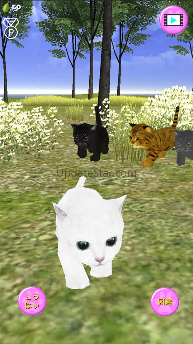 Cat Island 2.01