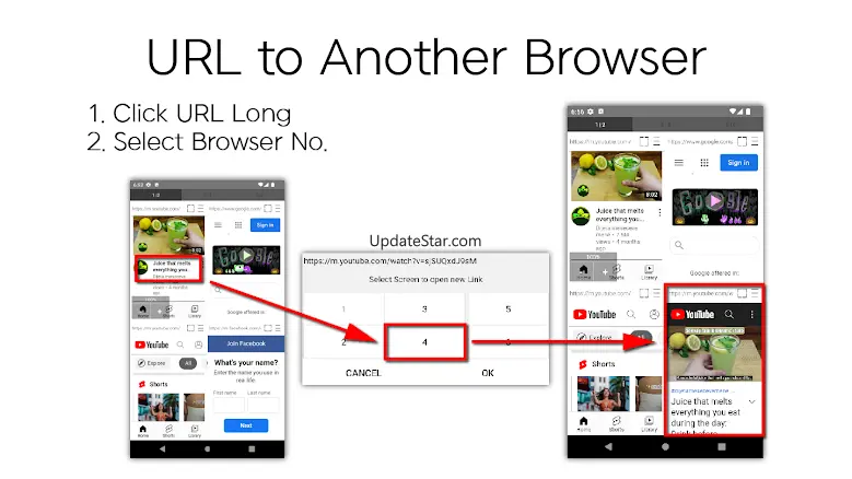 Dual Browser Multi Browser 1.65