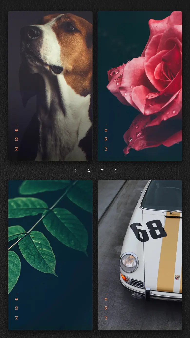 nomo cam - instant film camera 3.5
