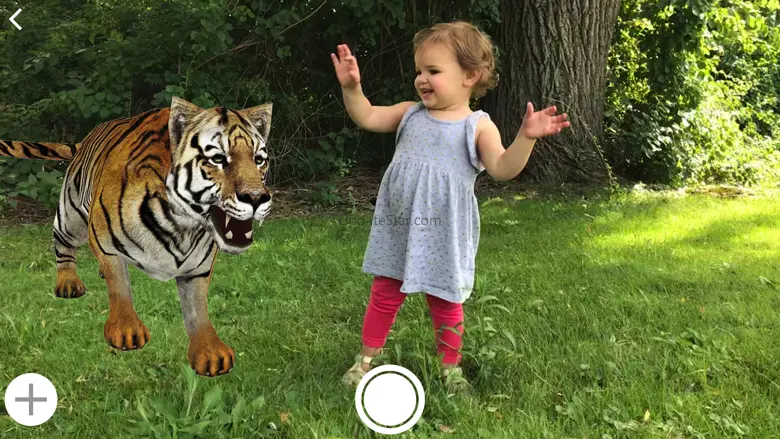 Backyard Safari 1.1