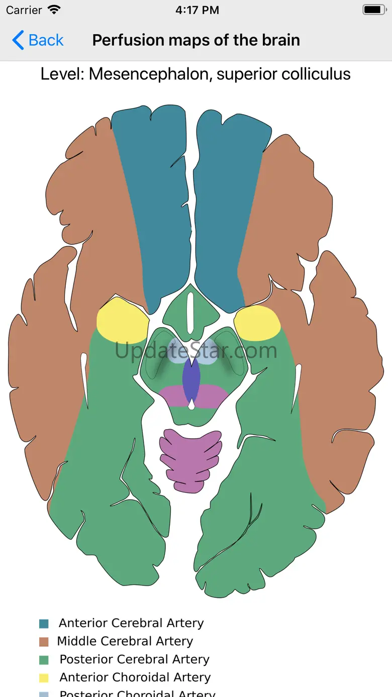 Neuro Assistant 1.9.5