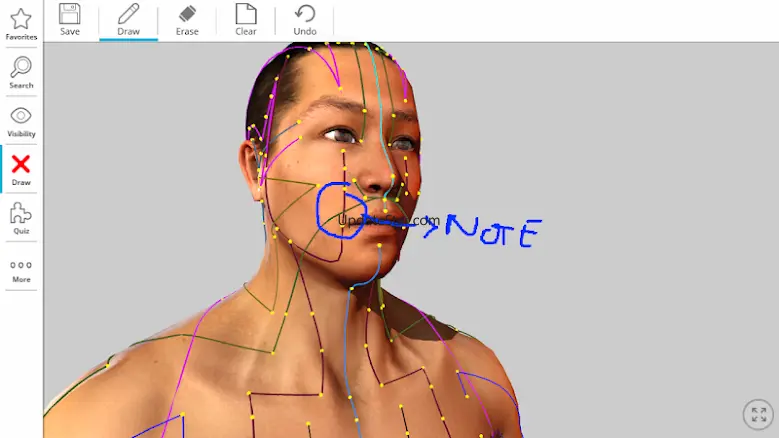 Visual Acupuncture 3D 4.0