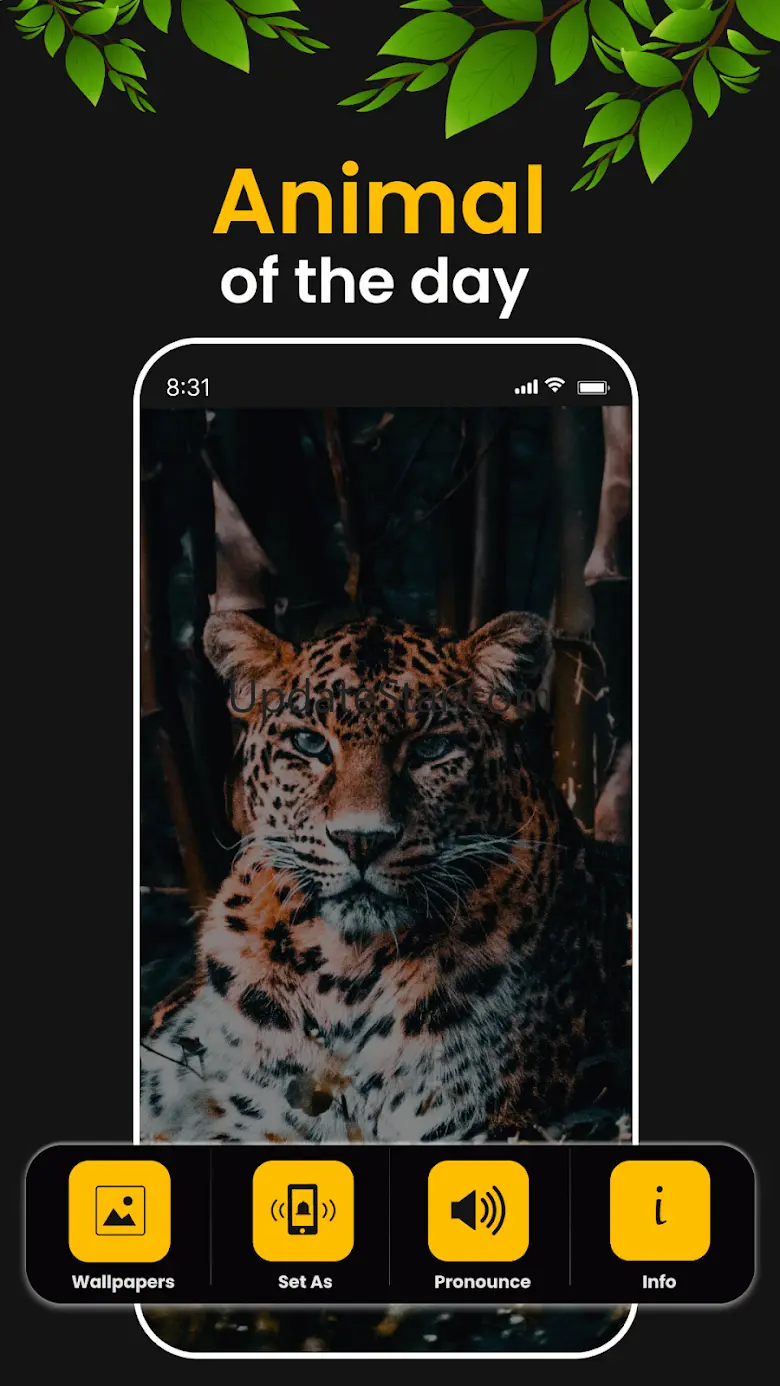 Animal Ringtones & wallpapers 1.40
