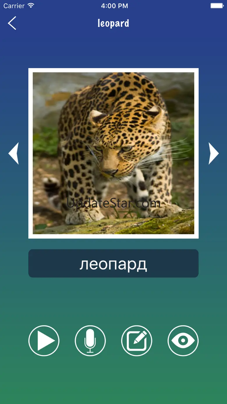 Russian Word Flashcards Learn 23.12.20