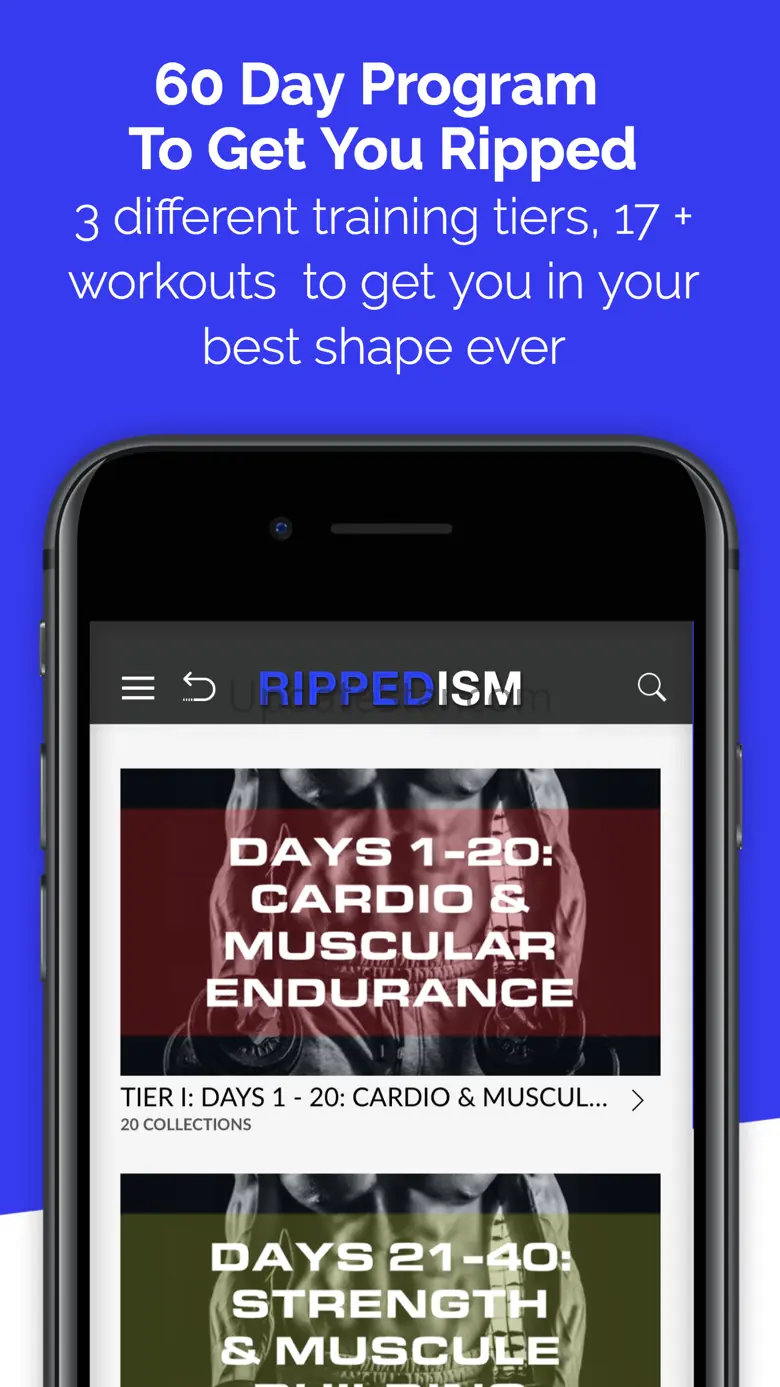 XFA Fitness - Rippedism 1.5