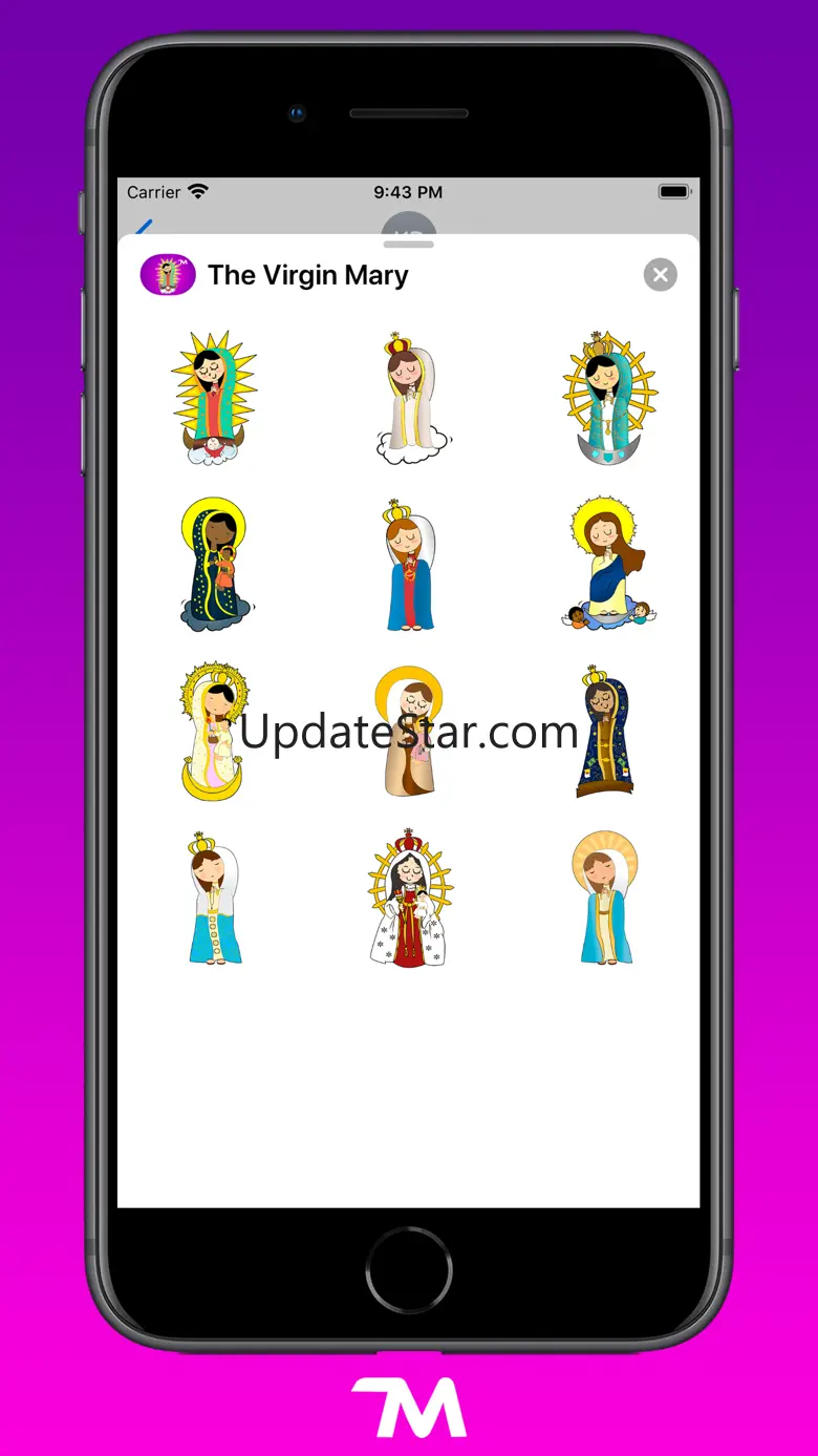 Virgin Mary Stickers 2.4