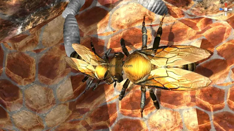 Bee Nest Simulator Full 1.0
