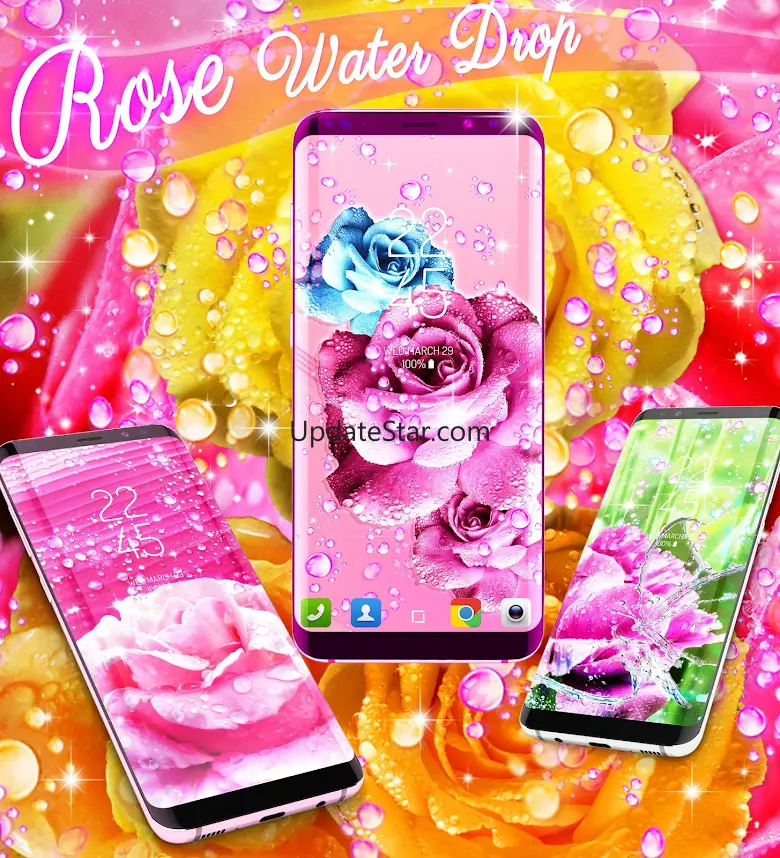 Rose pink water drop wallpaper 100