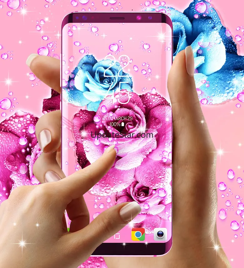 Rose pink water drop wallpaper 100