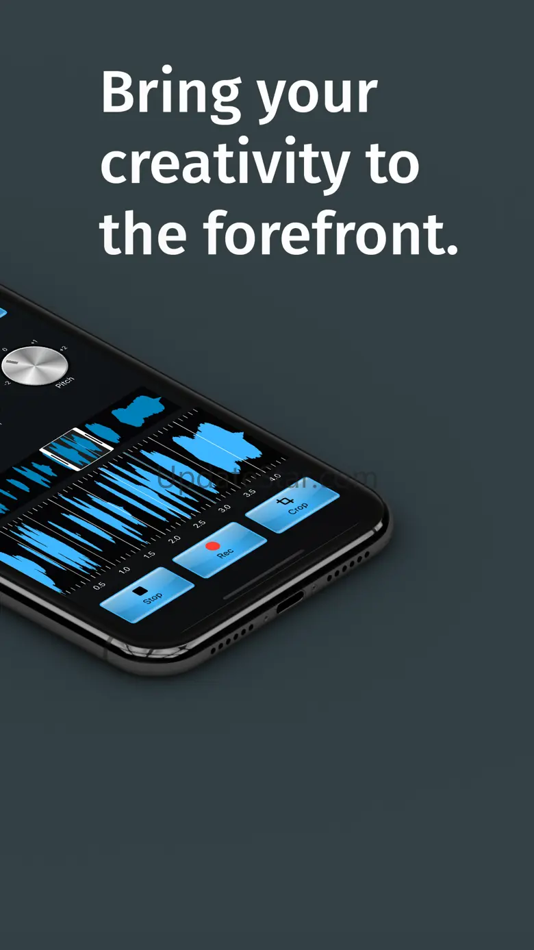 Chorus Sampler 1.1