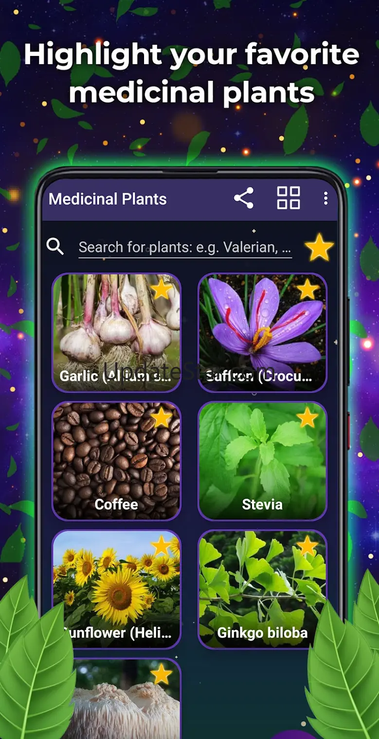 Medicinal plants and uses 2.6
