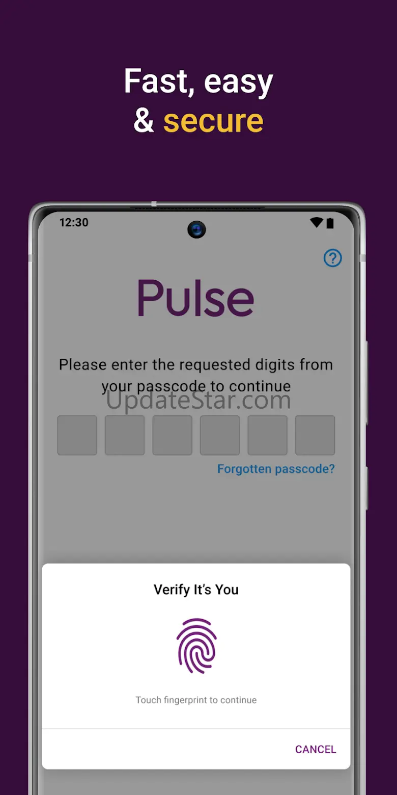 Pulse Card 2024.26.1