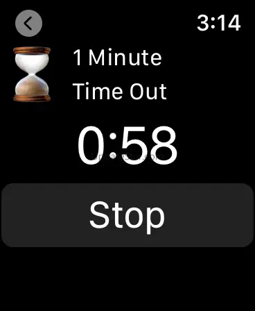 Pickleball Referee Timer 1.2