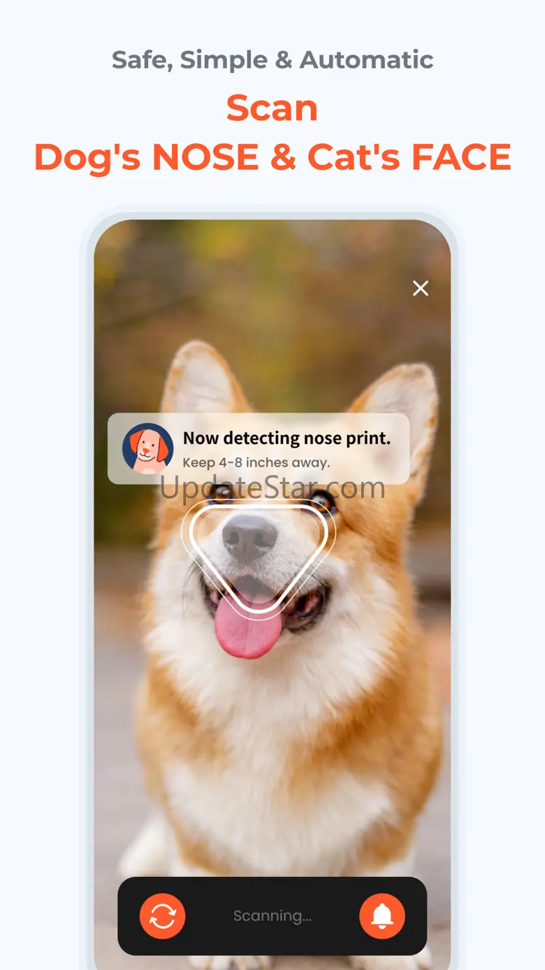 Petnow 3.11.10