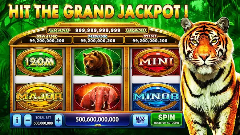 Pirate Fortune Slots - Casino