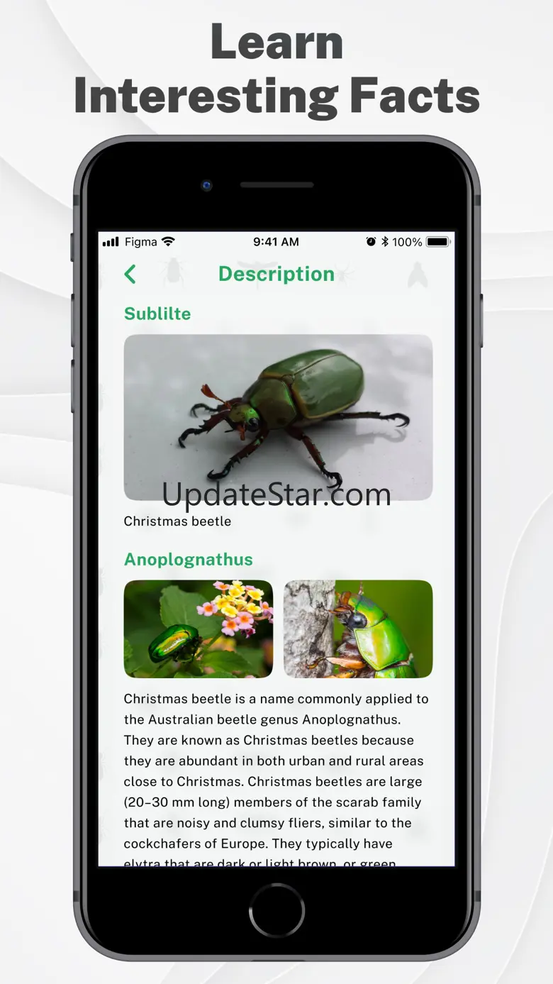 Insects & Bugs Identifier ID 2.0