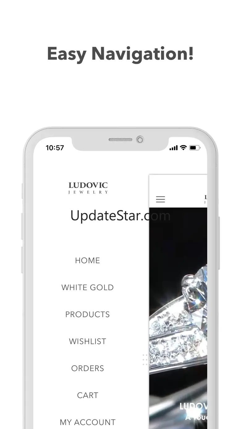 Ludovic Moissanite 1.1
