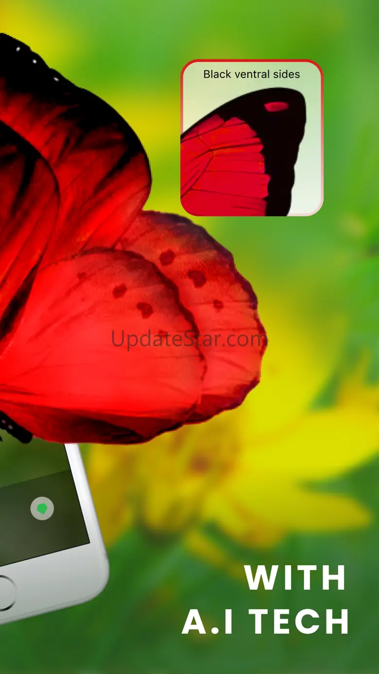 What bug is this Identify bugs 1.0.5