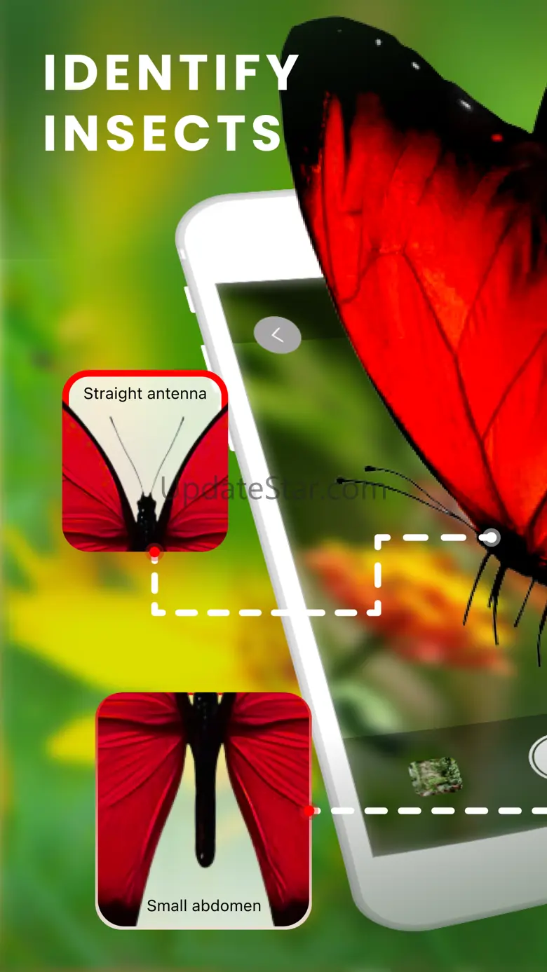 What bug is this Identify bugs 1.0.5