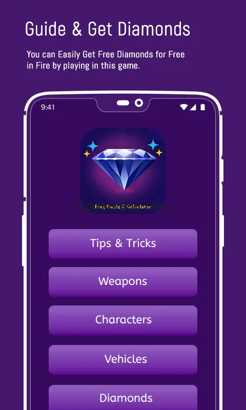 FFF Diamond Tips - Skin Tool