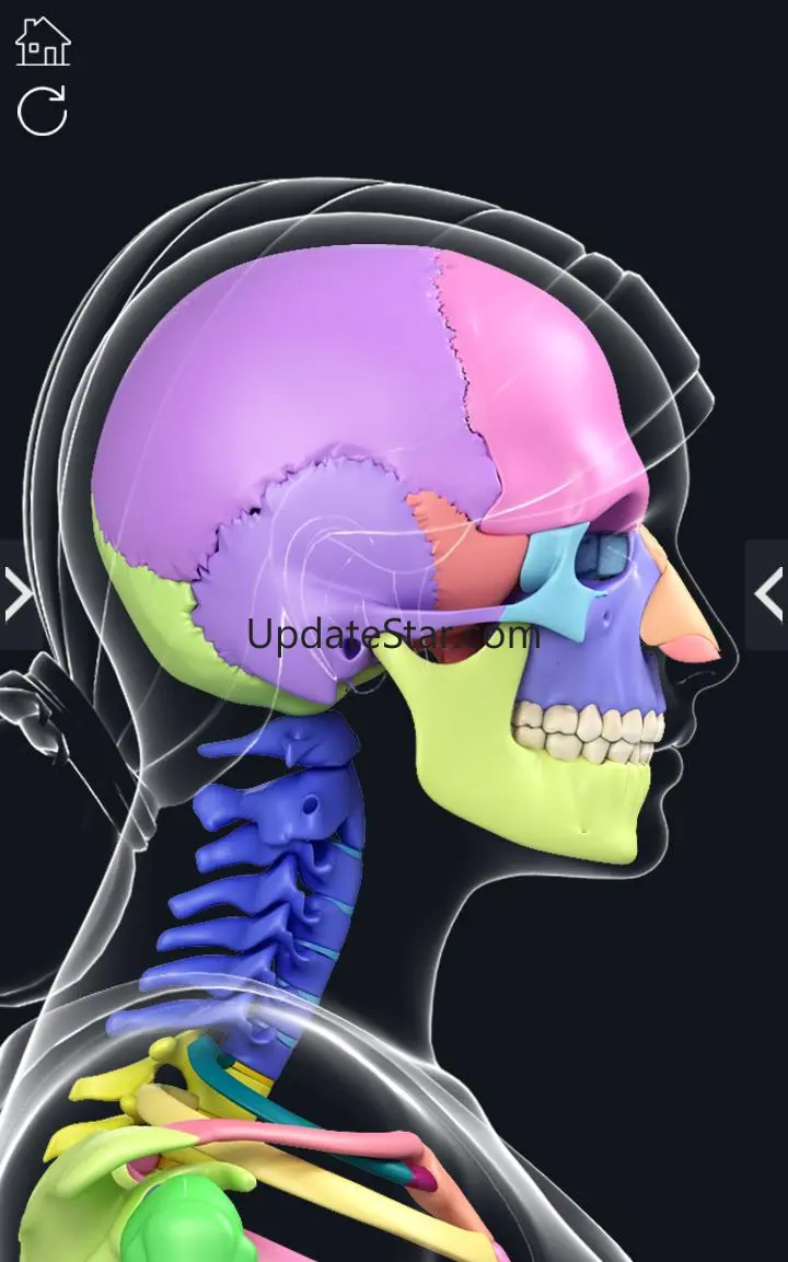 My Skeleton Anatomy 4.4