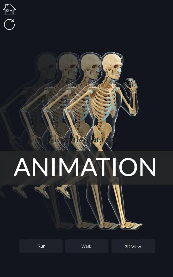 My Skeleton Anatomy 4.4
