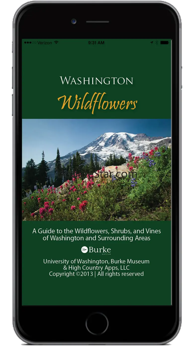 Washington Wildflowers 13.06