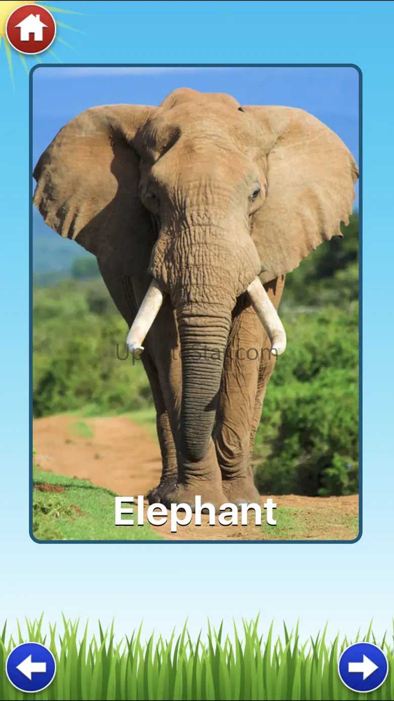 Zoo Sounds - Fun Educational Games for Kids 3.1