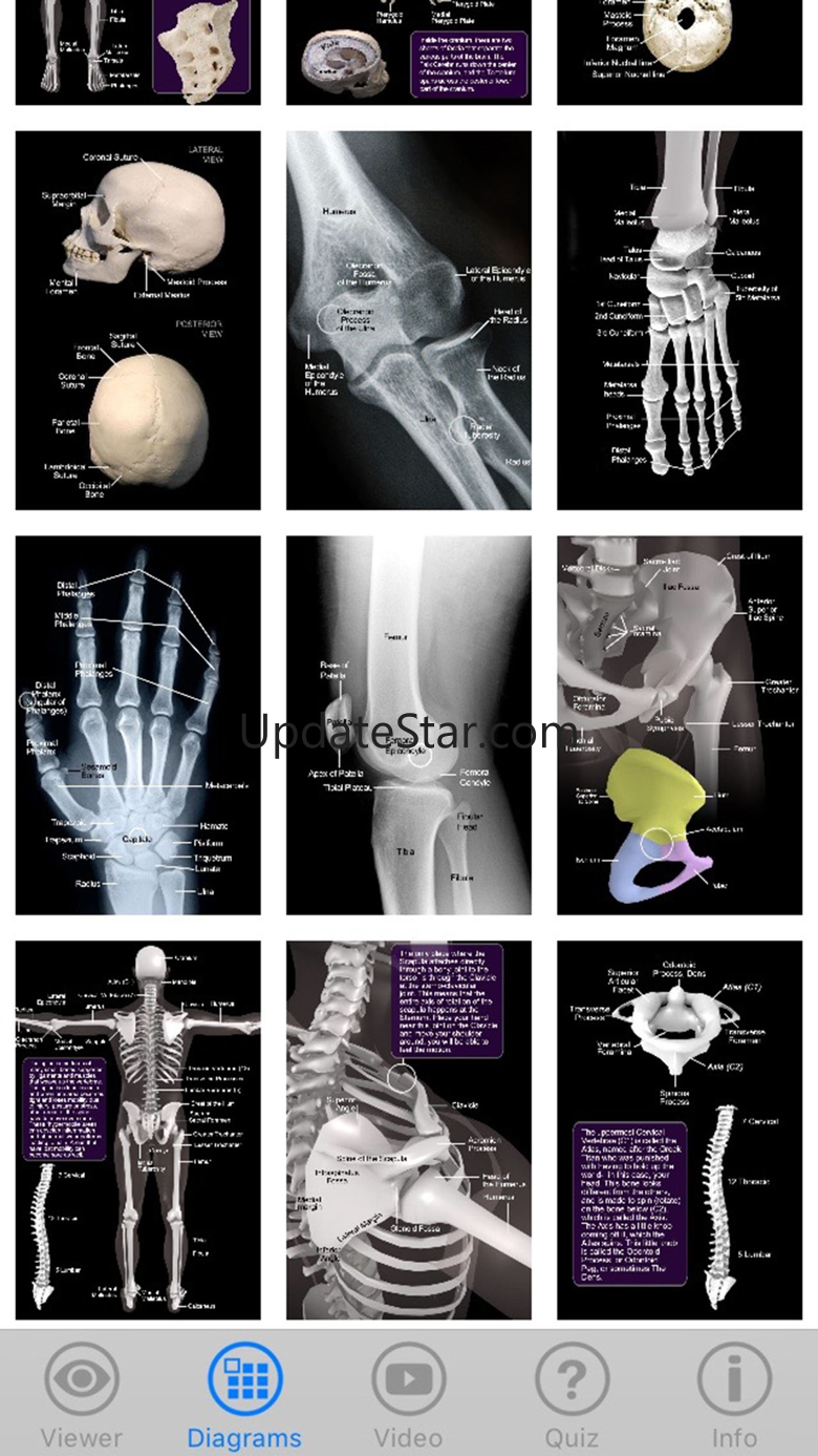Skeletal Anatomy 3D 4.0