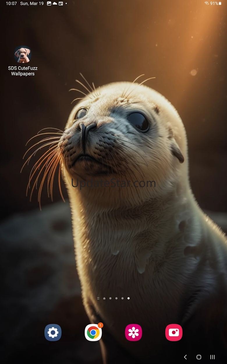 SDS Cute Fuzz Wallpapers 1.0.0