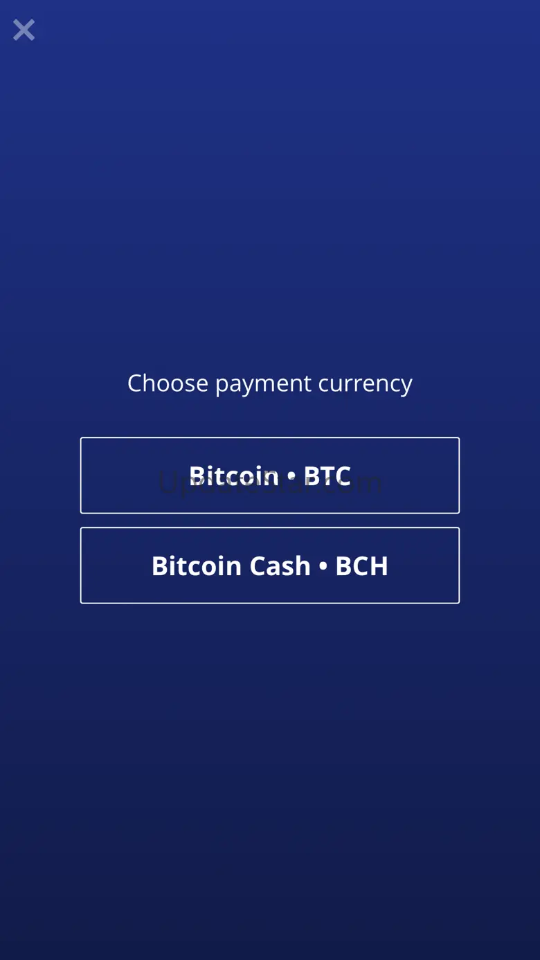 BitPay Checkout 1.2.5